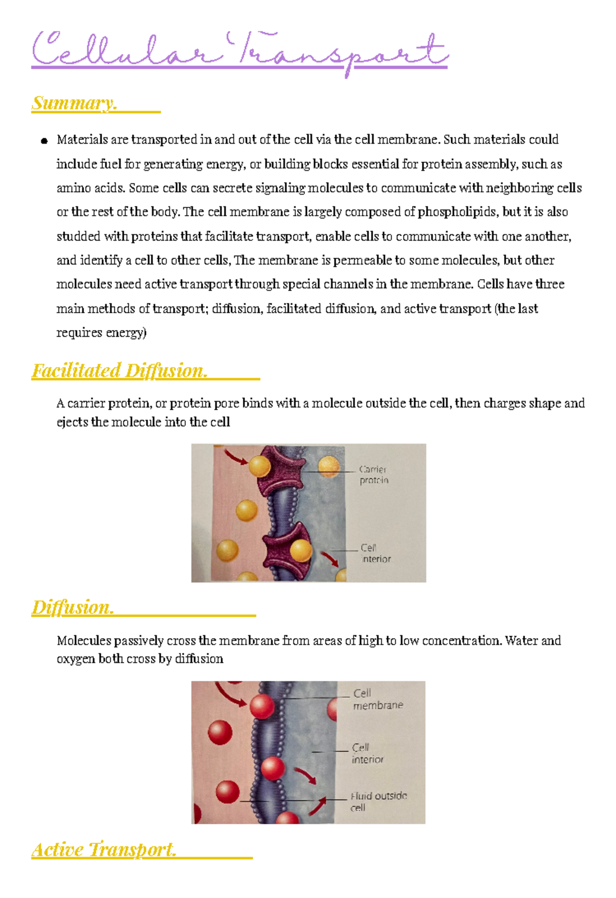 Eubacteria and Archaebacteria: Characteristics and Roles in Life - Studocu