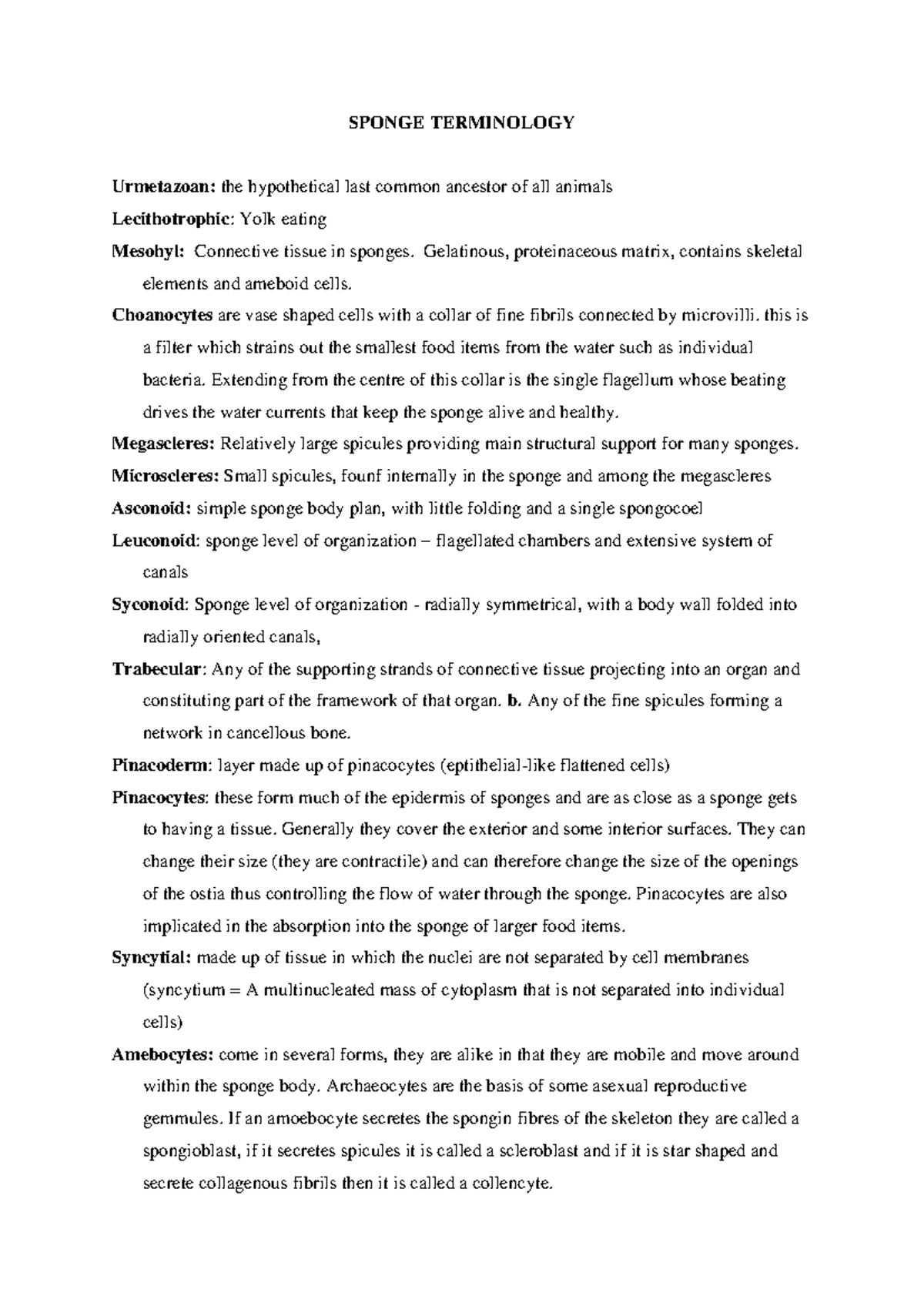SPNG 101: Key Terminology and Concepts in Sponge Biology - Studocu