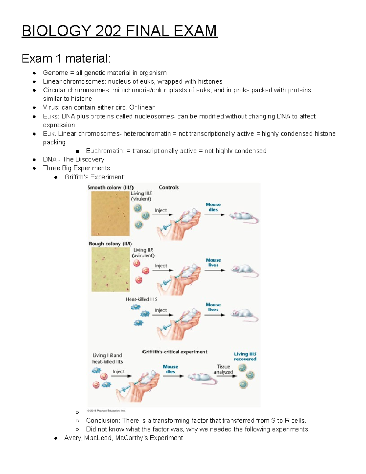 Biology 202 Final Exam Study Guide: Essential Concepts and Topics - Studocu