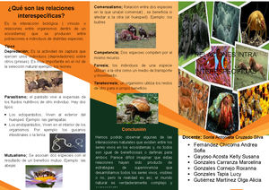 Mapa mental IVU - Ejercicios obligatorios de IVU - ¿Qué es lo que te ...