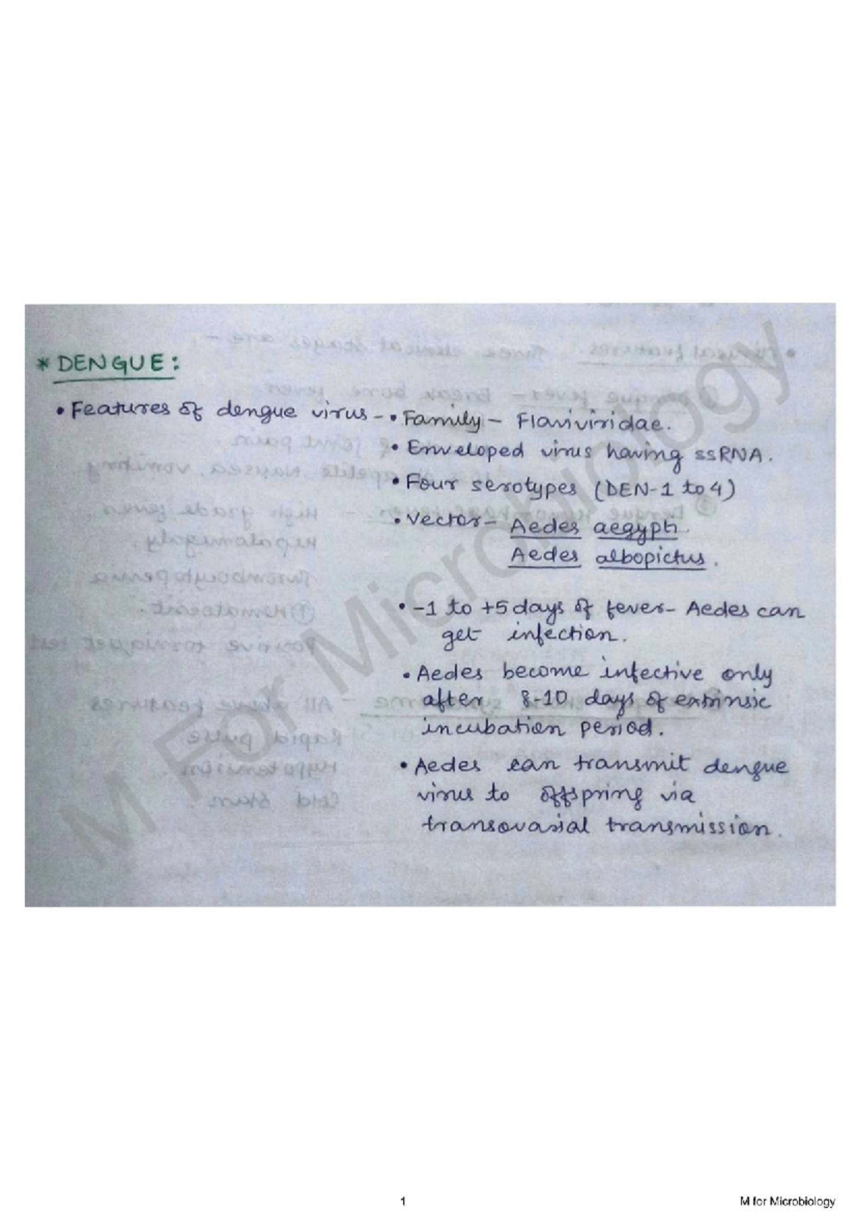 DENG 2M: Concise Notes on Dengue Virus Features and Pathogenesis - Studocu