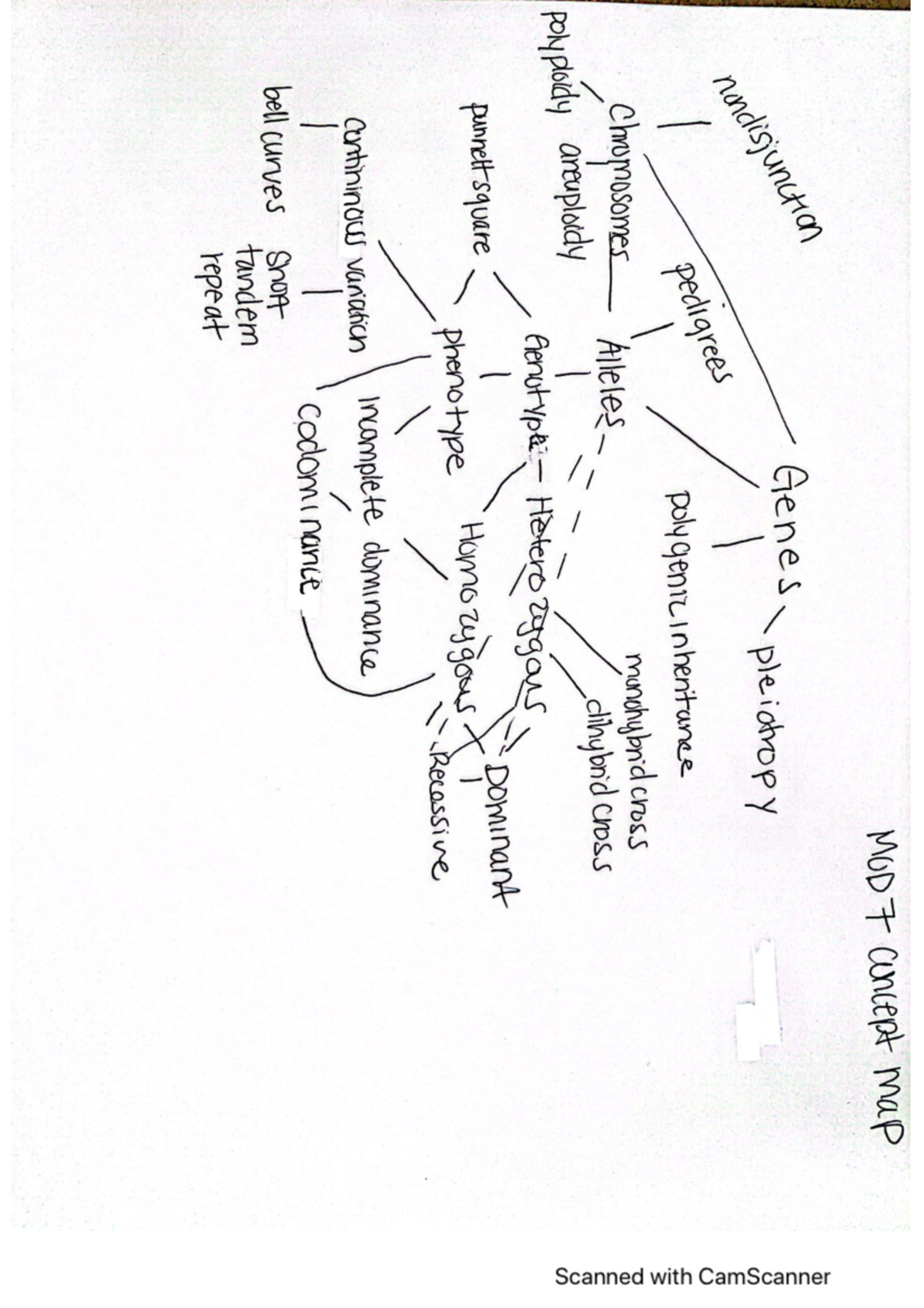 Mod 7 concept map - BIO 189 - Studocu
