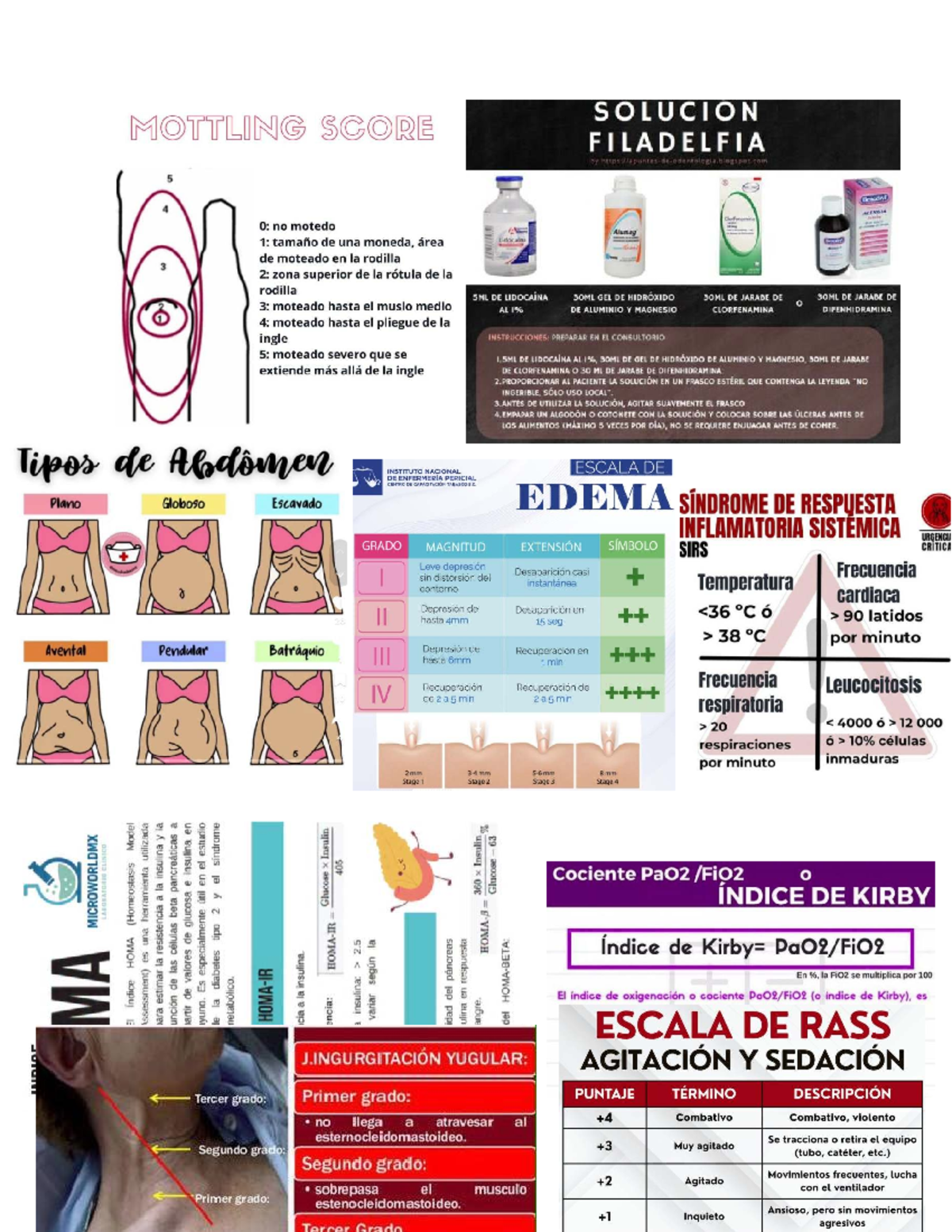SOLUCIÓN MOTTLING SCORE Y ESCALA DE RASS - INSTITUTO NACIONAL - Studocu