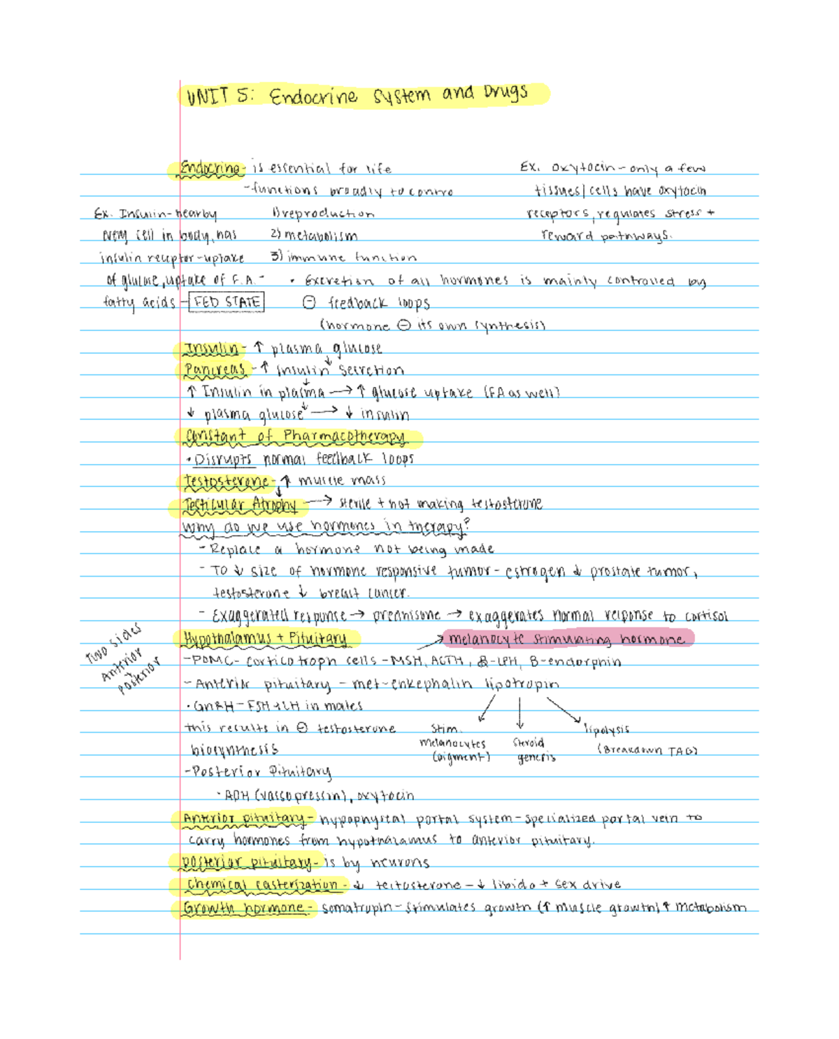 UNIT 5 Endocrine System and Related Drugs Overview - UNIT 5 Endocrine ...