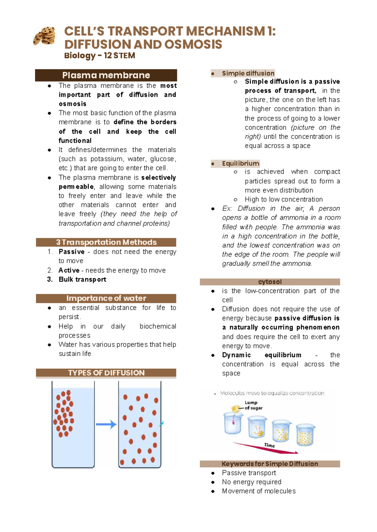 L1 Biology 12 STEM: Cell Transport Mechanisms - Diffusion & Osmosis ...