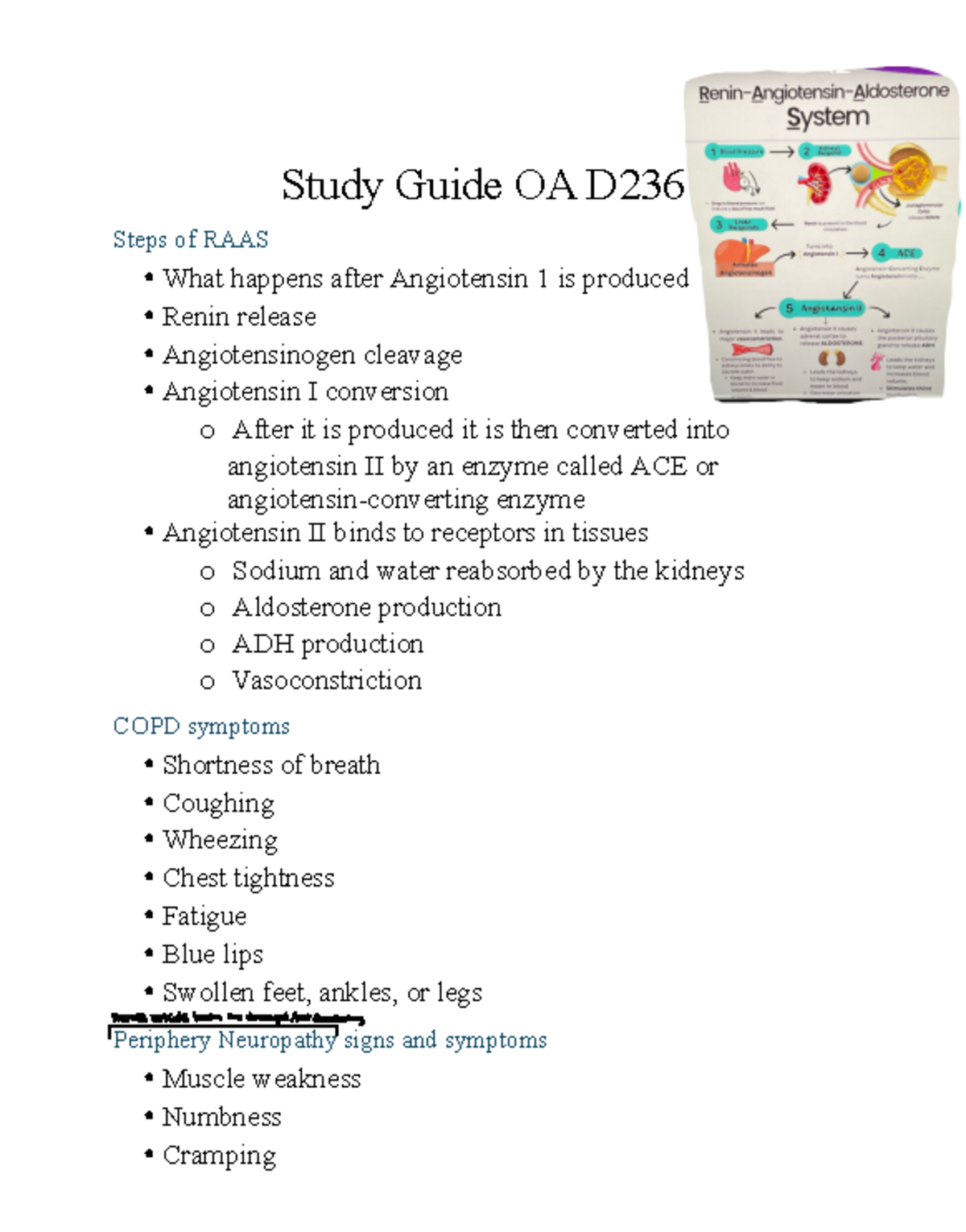 Study Guide from OA 10 27 2024 - Study Guide OA D Steps of RAAS What ...