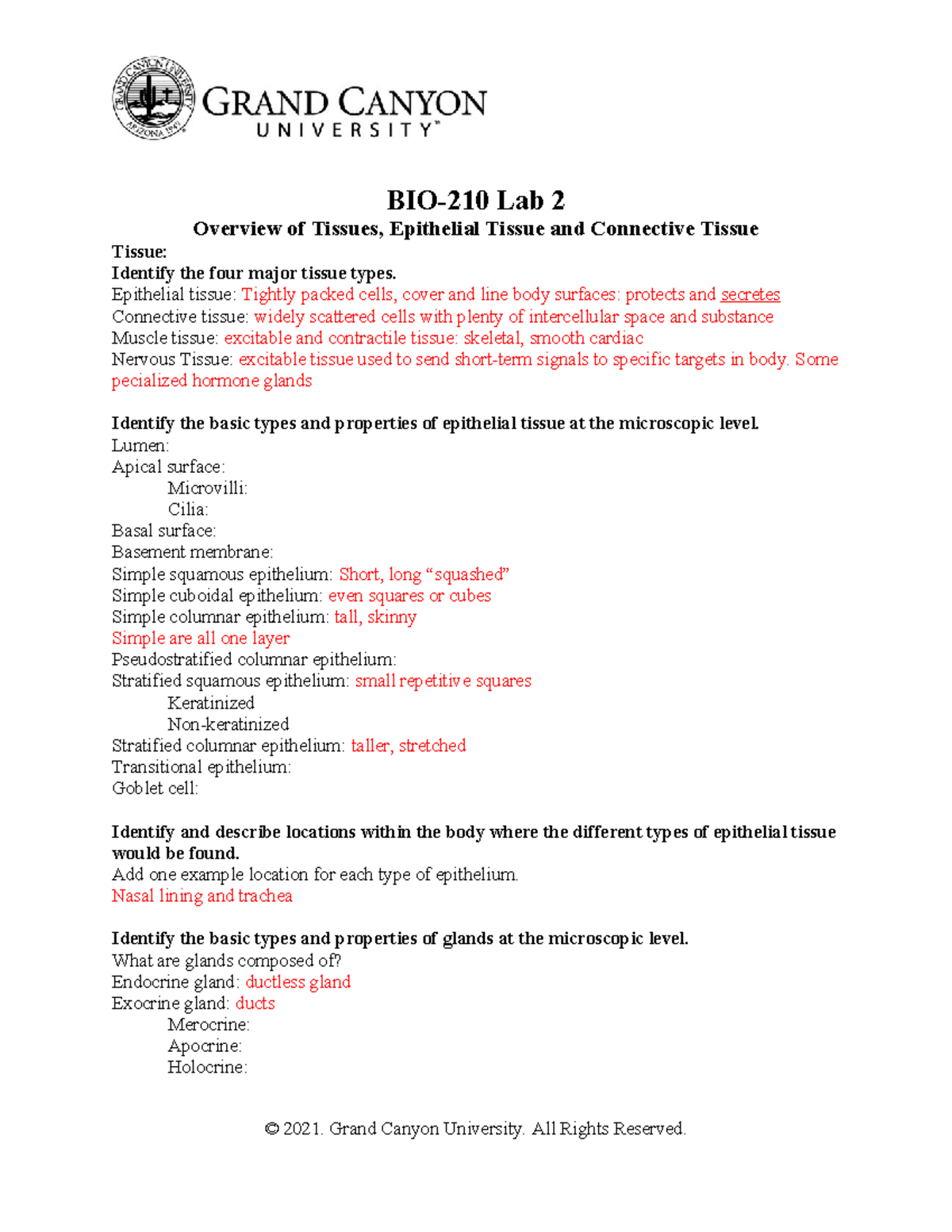 Nkarnes BIO210L Lab2 Terms List - BIO-210 Lab 2 Overview of Tissues ...