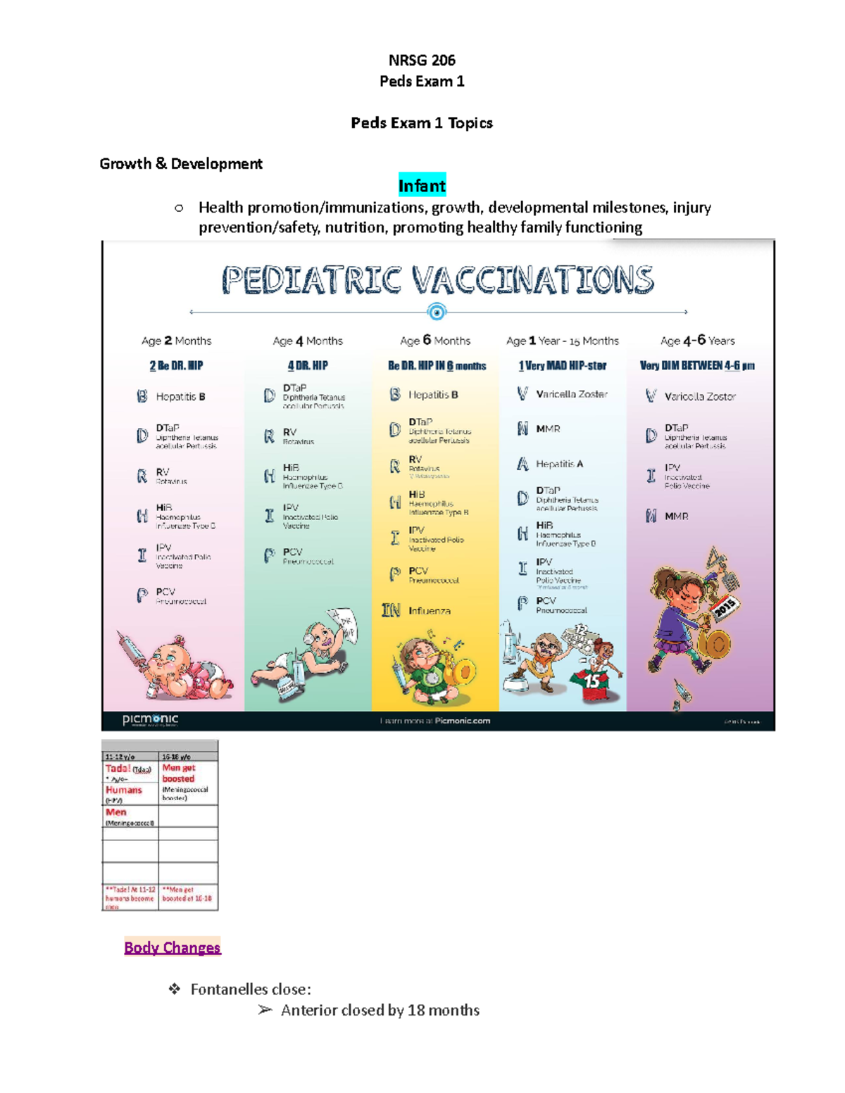 Peds Exam 1 Study Guide - Comprehensive Overview for Final Review - Studocu