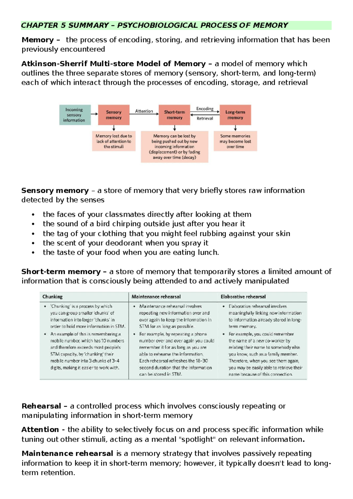 CHAPTER 5 SUMMARY: PSYCHOBIOLOGICAL PROCESSES OF MEMORY - Studocu