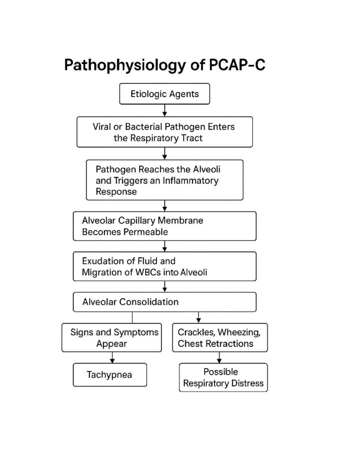 Doc 1 - more on respiratory - Foundations of special and inclusive ...