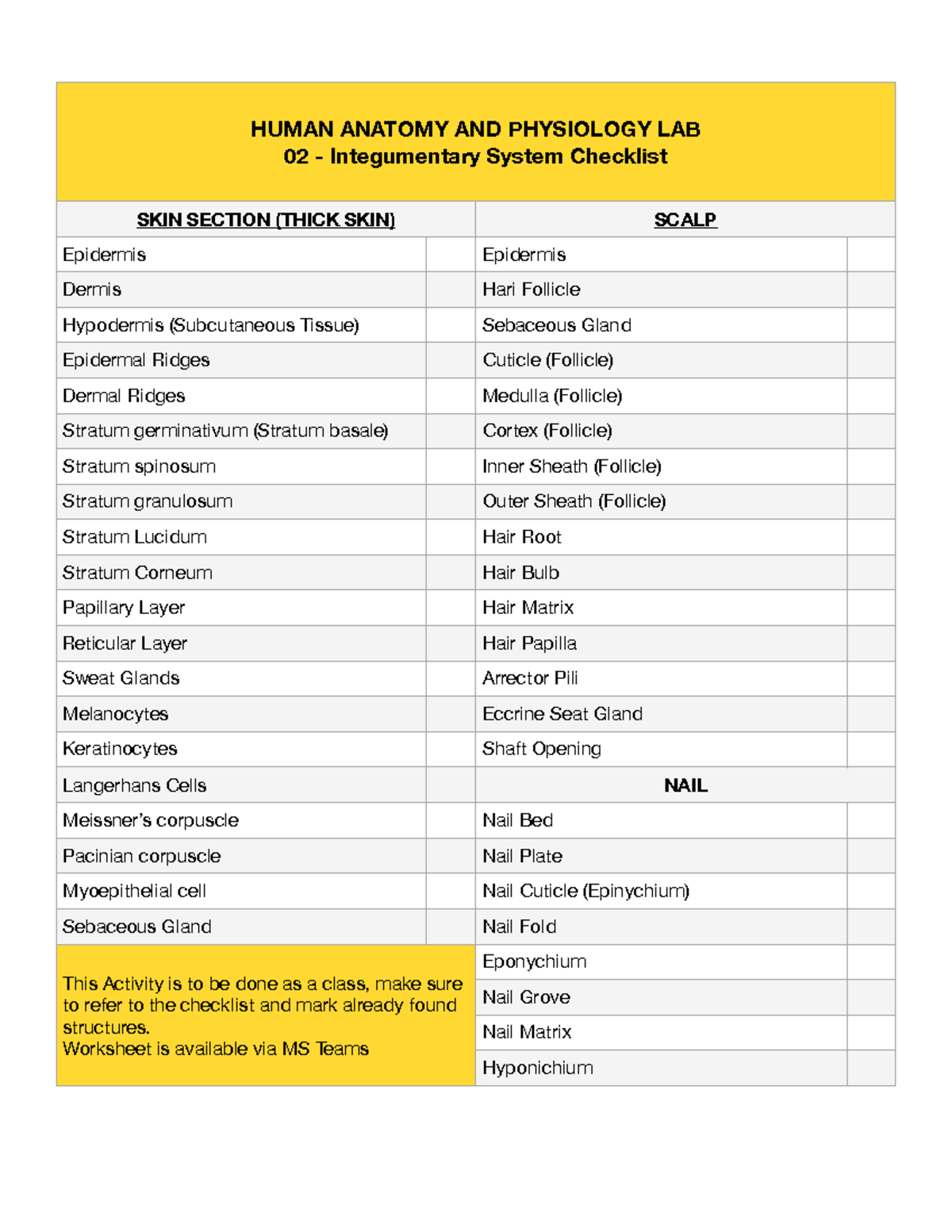 02 Integumentary System Checklist - HUMAN ANATOMY AND PHYSIOLOGY LAB 02 ...