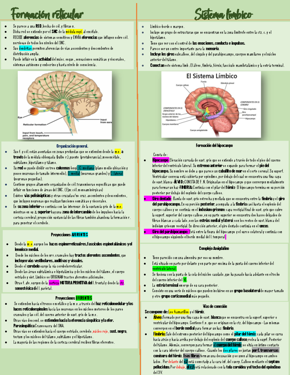 Resumen sobre Formación Reticular y Sistema Límico - Biología 101 - Studocu