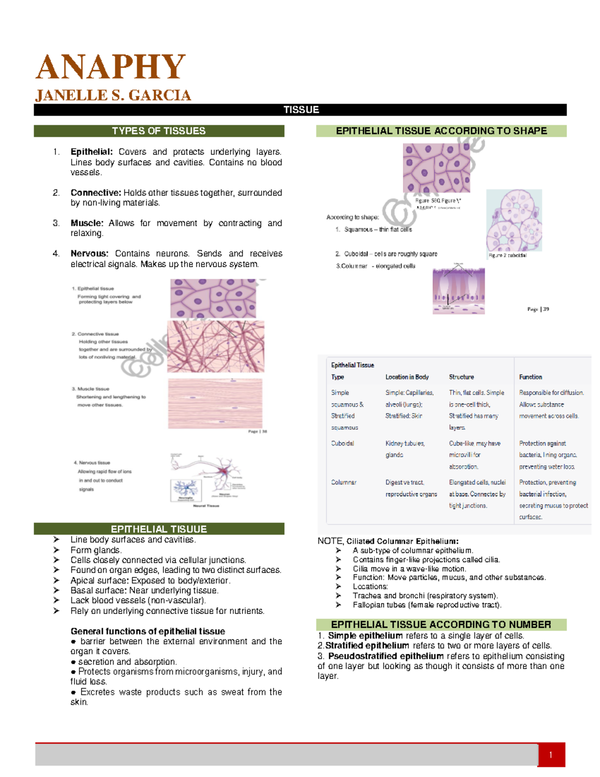 Anaphy - Types of Tissues and Their Functions - Janelle S. Garcia - Studocu