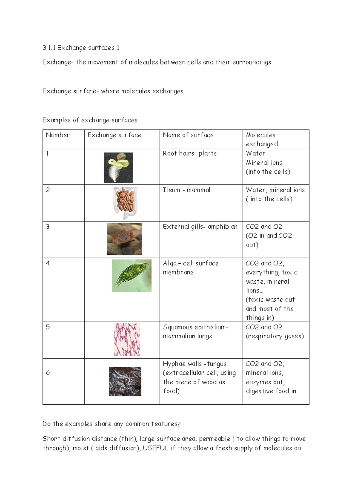 Exchange Surfaces 1: Molecule Movement in Cells and Surroundings - Studocu