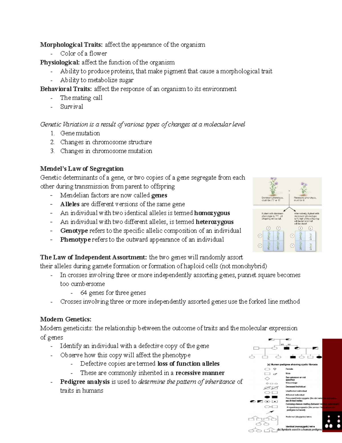 Genetics Test 1 Review - Key Concepts & Terminology Analysis - Studocu