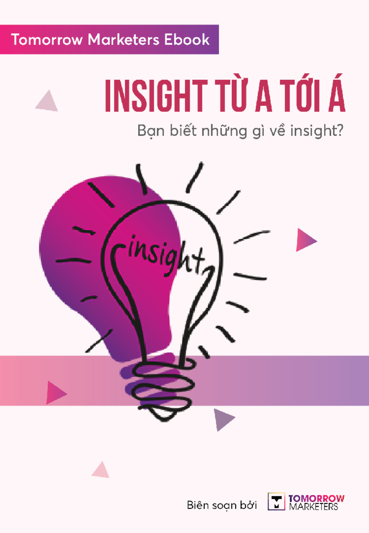 Ebook Insight từ A tới Á - FYI: Phân Tích Consumer Insight Hiệu Quả - Document Preview