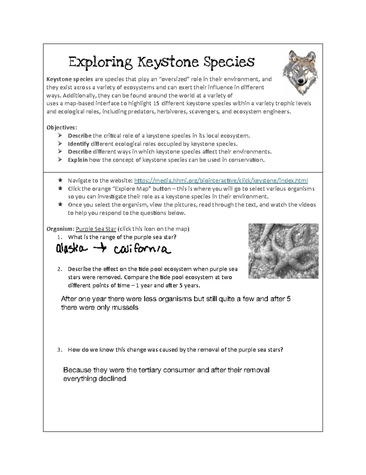 Exploring Keystone Species: Their Role in Ecosystems - Studocu