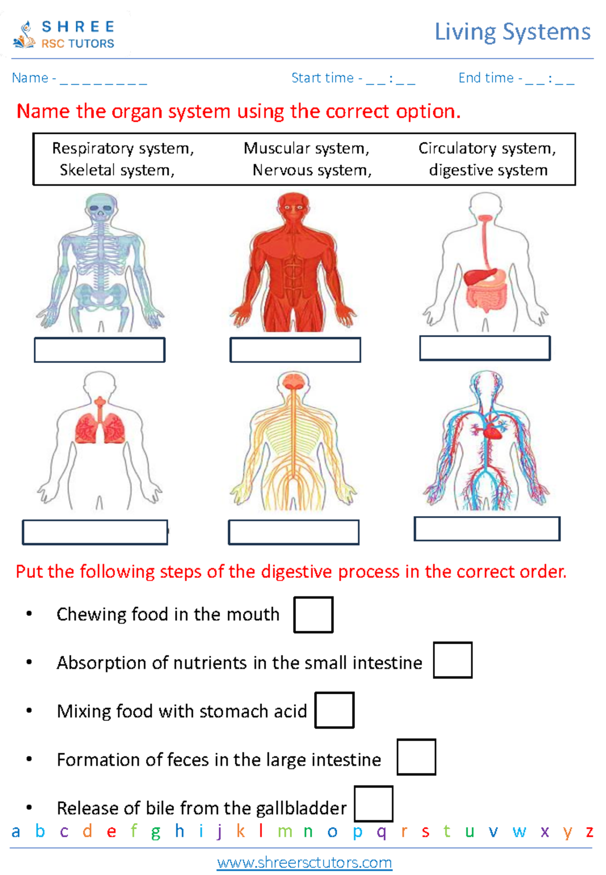 Human Body Systems 1: Organ & Digestive Process Quiz - Studocu