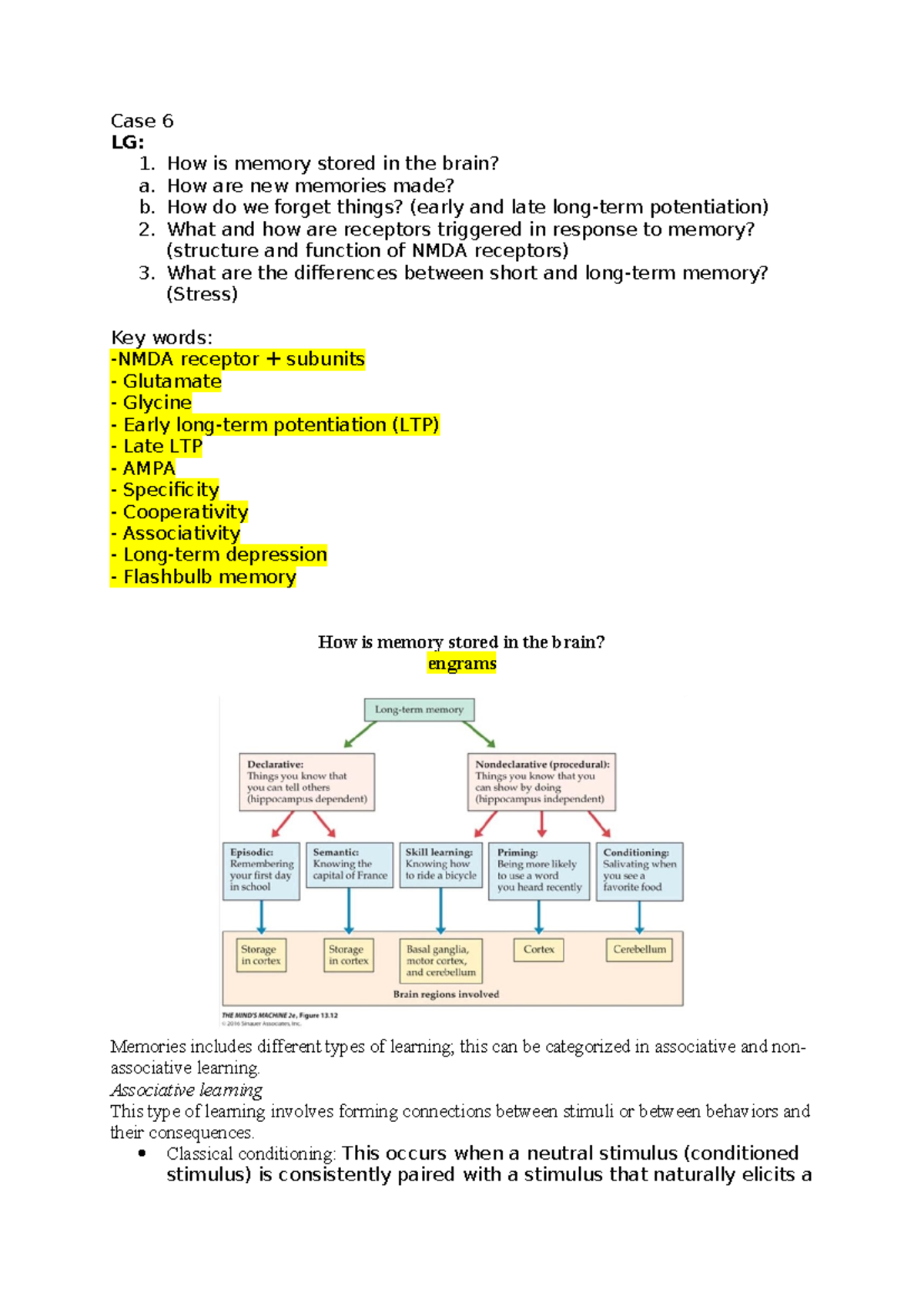 BBS1004: Case Study 6 on Brain Behavior, Memory & Learning Processes ...