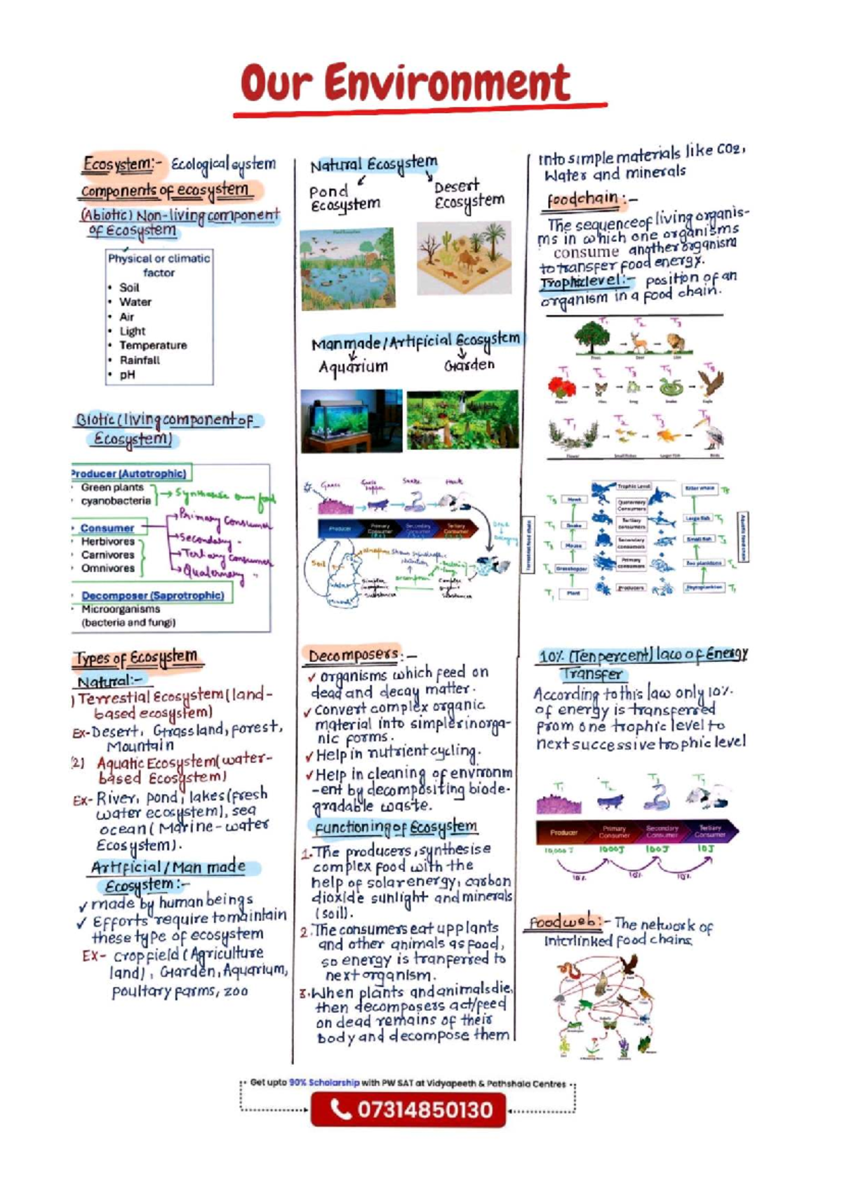 Our Environment: Ecosystem Components & Functions (Notes) - Studocu