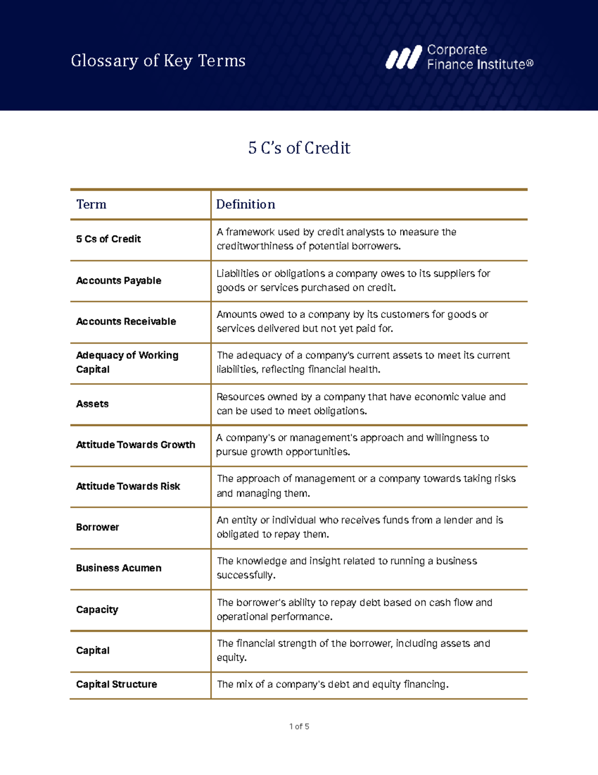 5 C's of Credit - Key Terms Glossary for Financial Analysis - Studocu