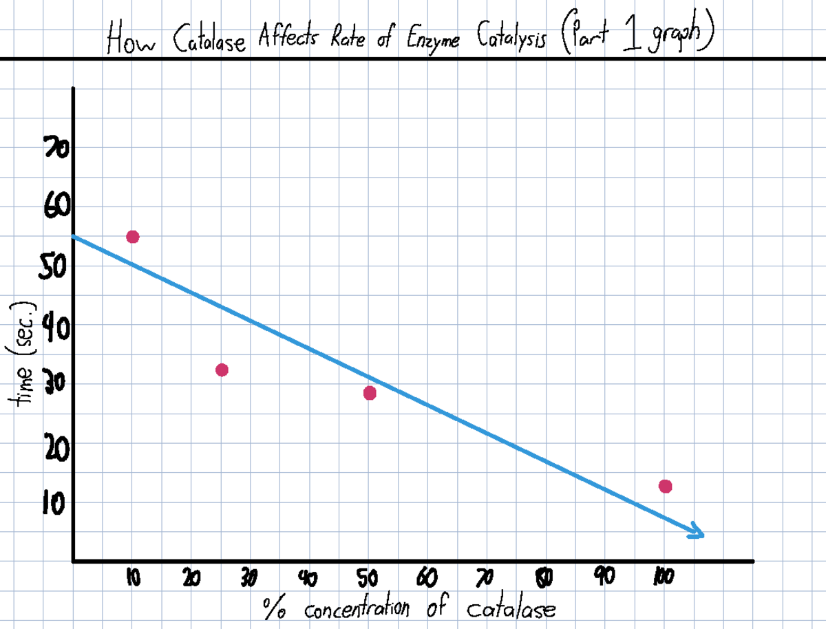 Cell Energetics: Catalase Enzyme Activity Analysis - Studocu