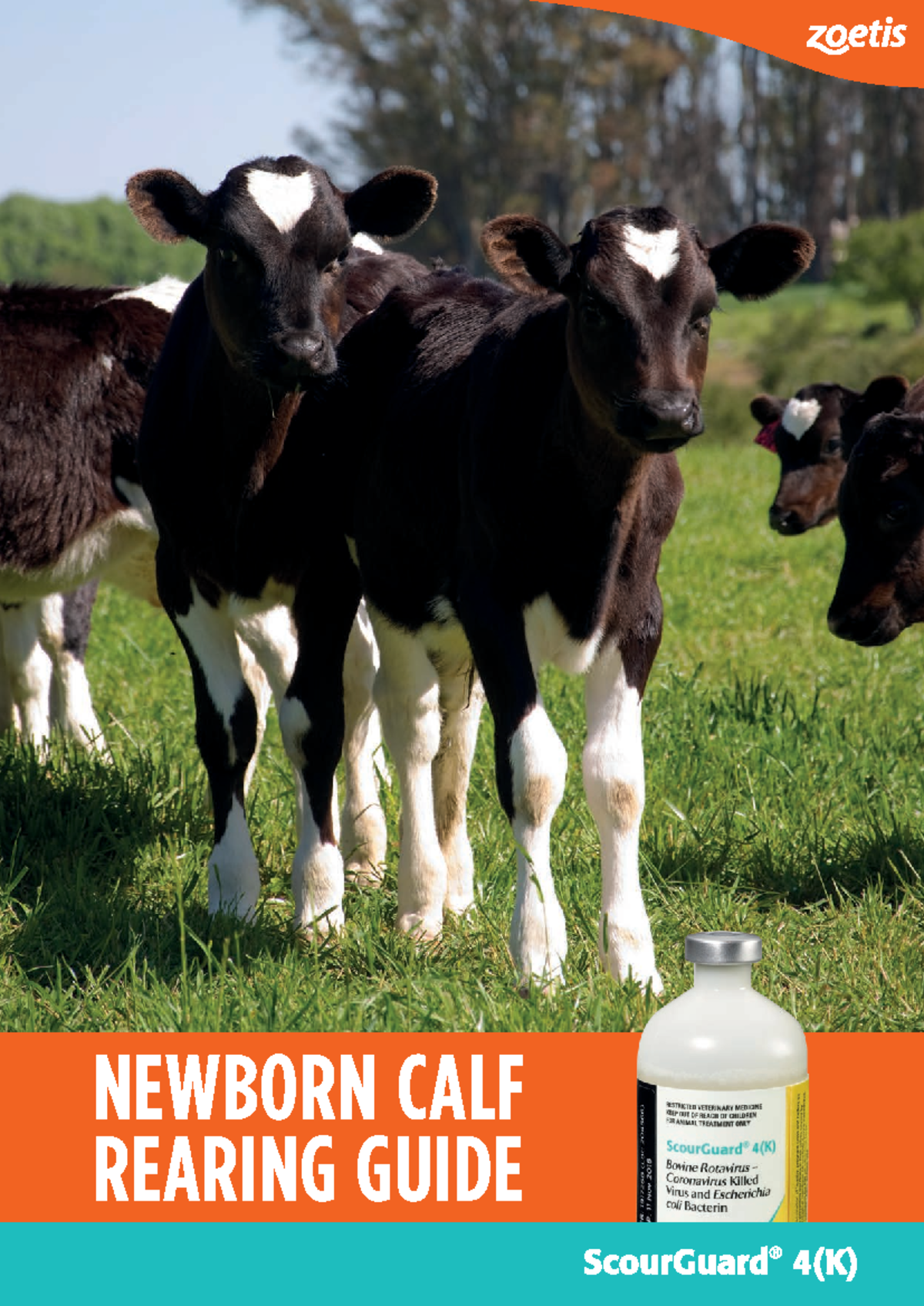 Calf-rearing-guide - NEWBORN CALF REARING GUIDE Over 4 million dairy ...