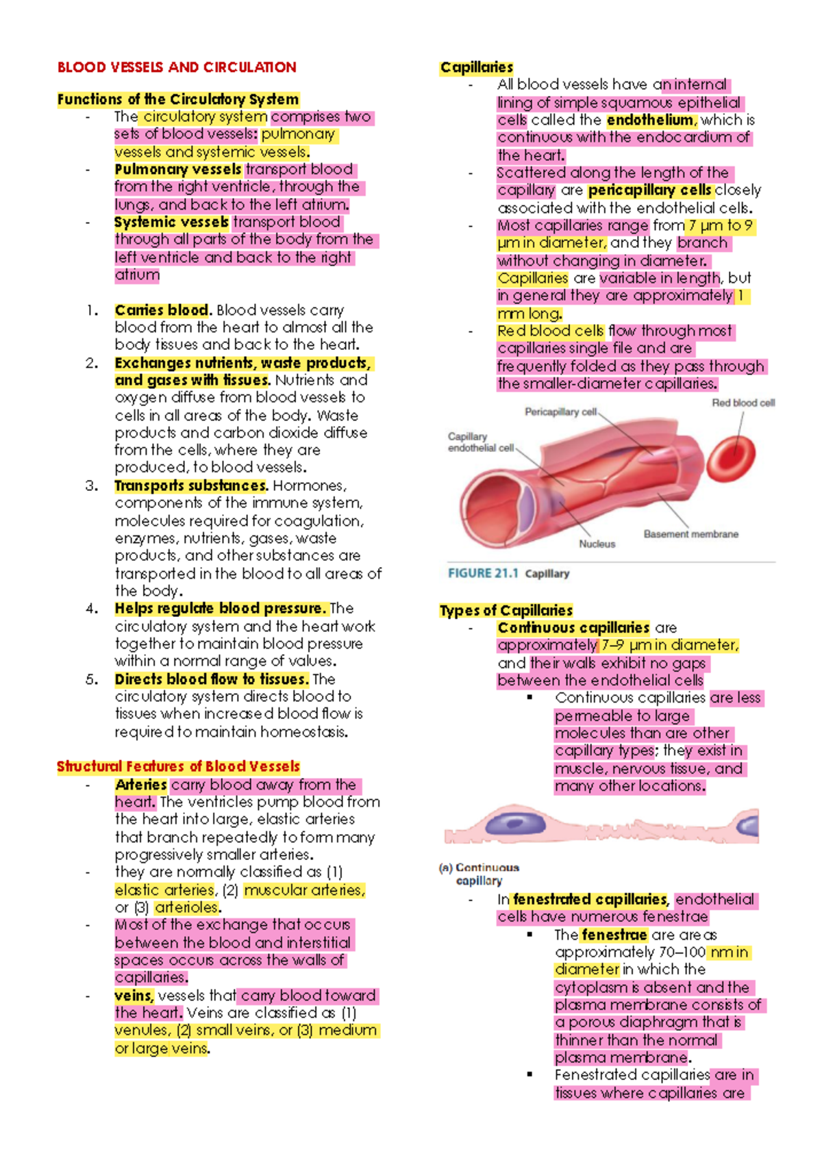 Blood Vessels and Circulation Overview - Study Notes for ANAT 101 - Studocu