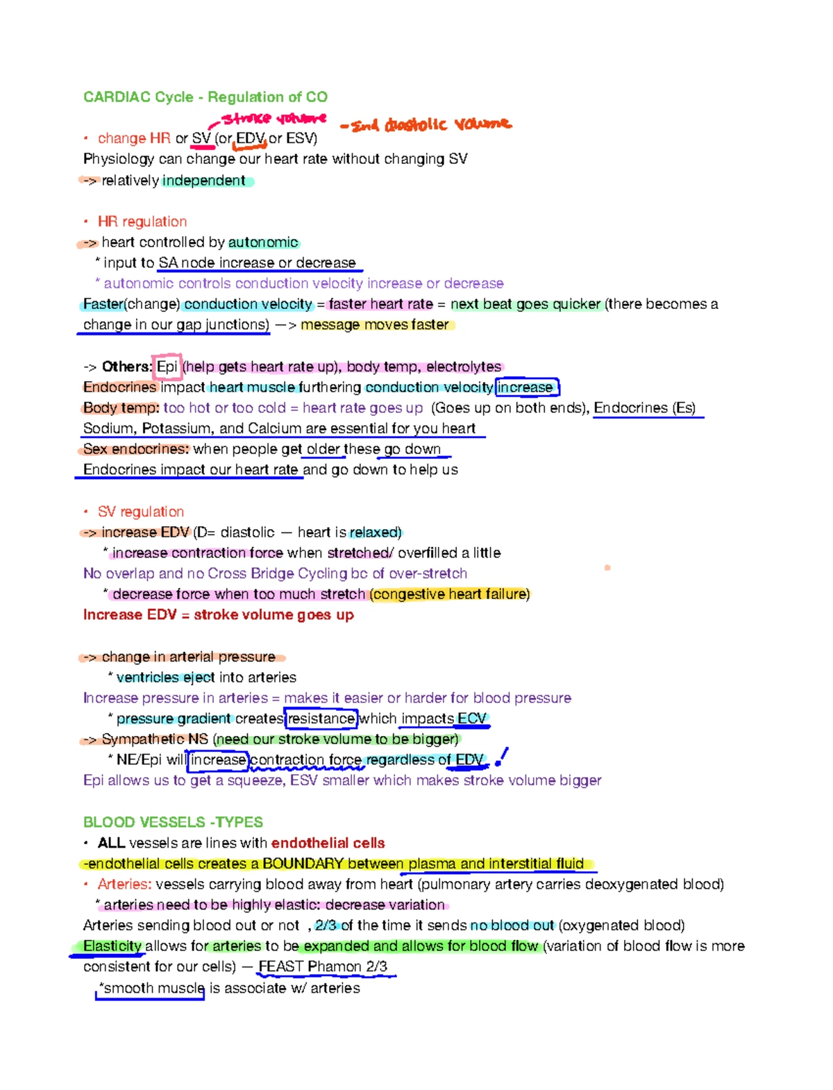 Understanding Thyroid and Adrenal Gland Disorders: Detailed Insights ...