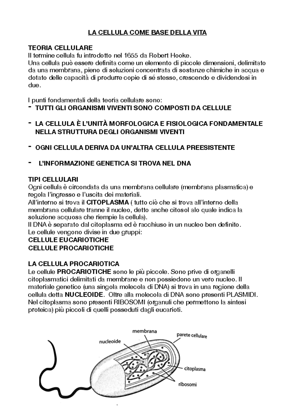 Teoria Cellulare 3 Parti Biologia Per Il Liceo/La Cellula Wikibooks,