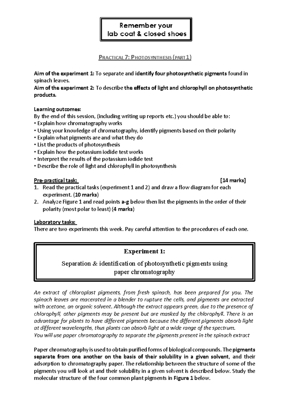 PRACTICAL 7: PHOTOSYNTHESIS EXPERIMENTS & PIGMENT ANALYSIS - Studocu