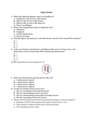 Final Exam Study Guide: Chromosome Structure & Organelle DNA (BIO 101 ...