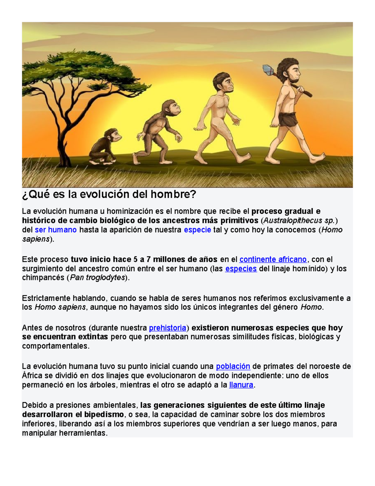 Cronología De La Evolución Humana Y El Futuro Línea Del Tiempo