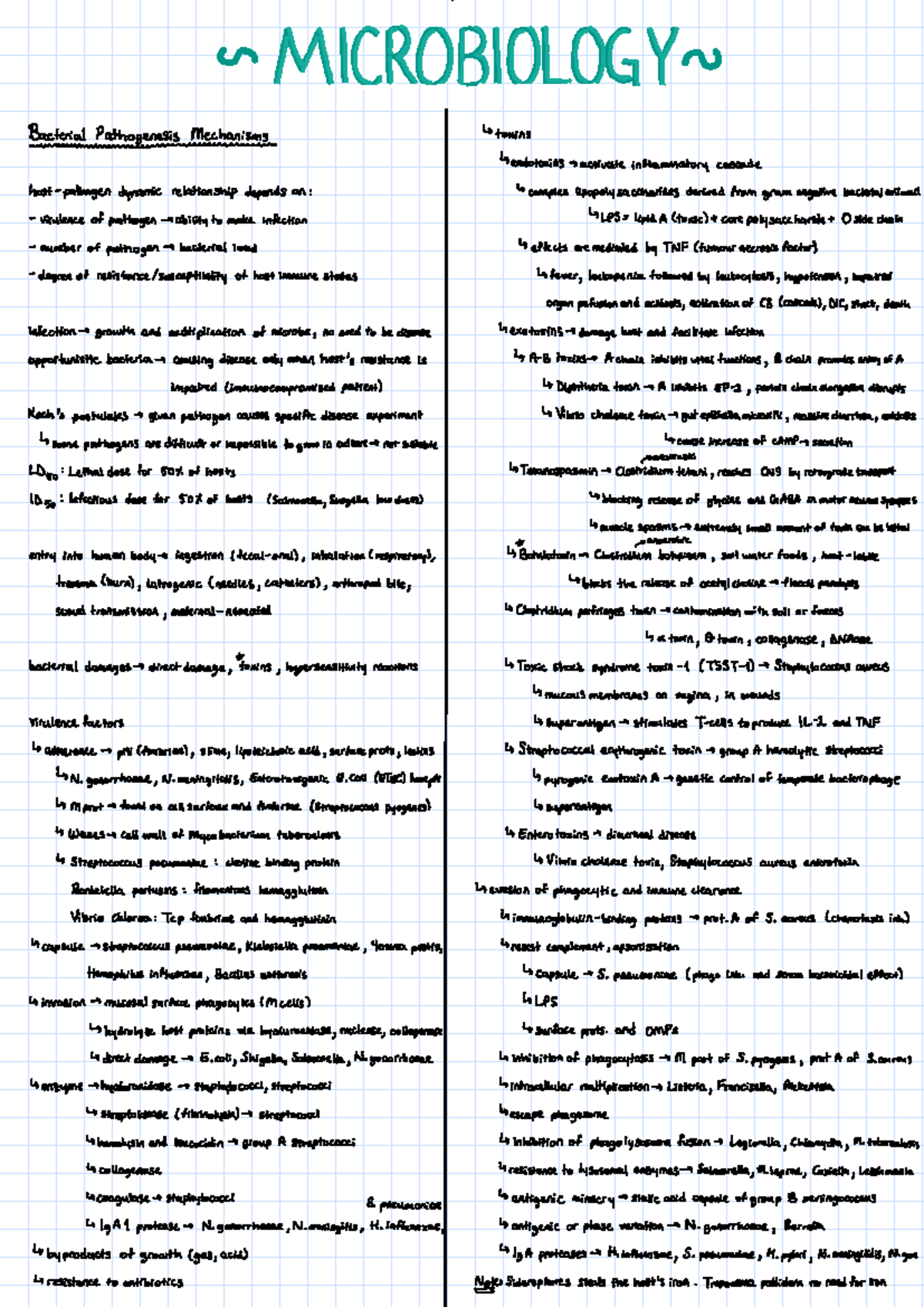 Microbiology Study Notes: Understanding Bacterial Functions and Roles ...