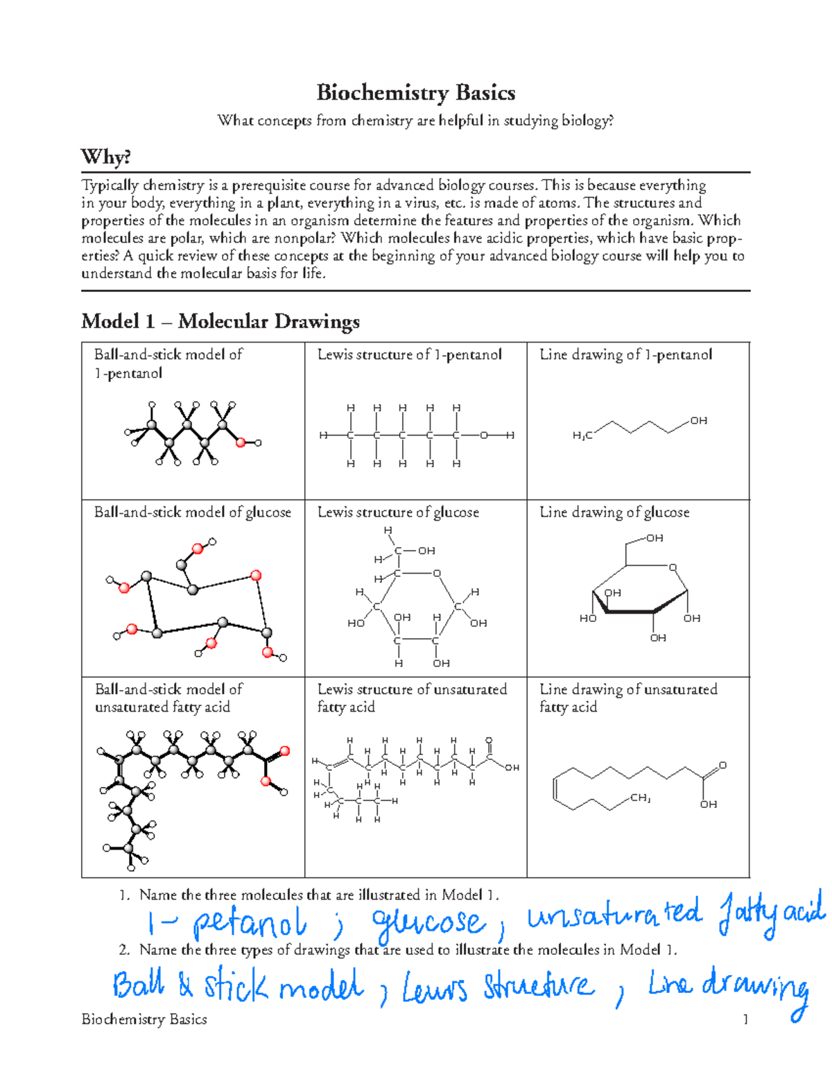 Biochemistry Basics for AP Bio - Document S Overview - Studocu