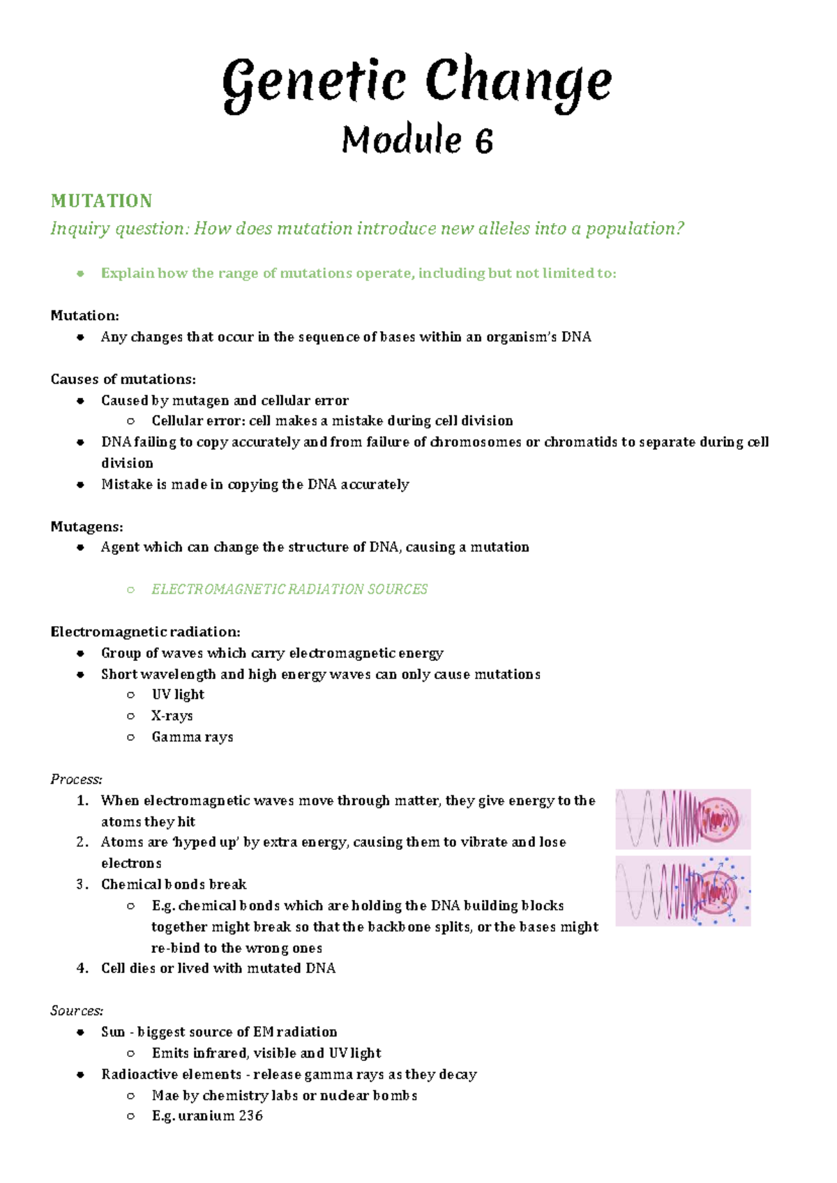 Module 6 Genetic Change: An In-Depth Look at Mutation and Biotechnology ...