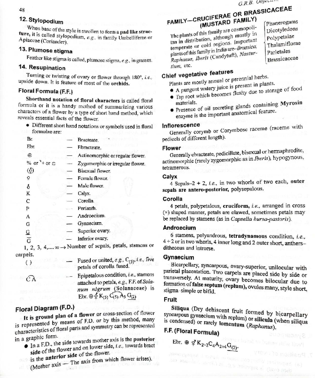 Angiospermic Families: Detailed Study Notes for G.R.B. 48 12 - Studocu