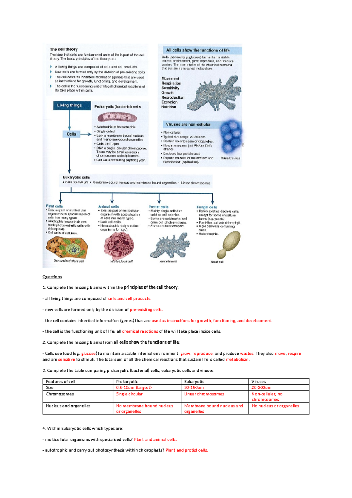 Cell Types Questions: Principles of Cell Theory & Functions - Studocu