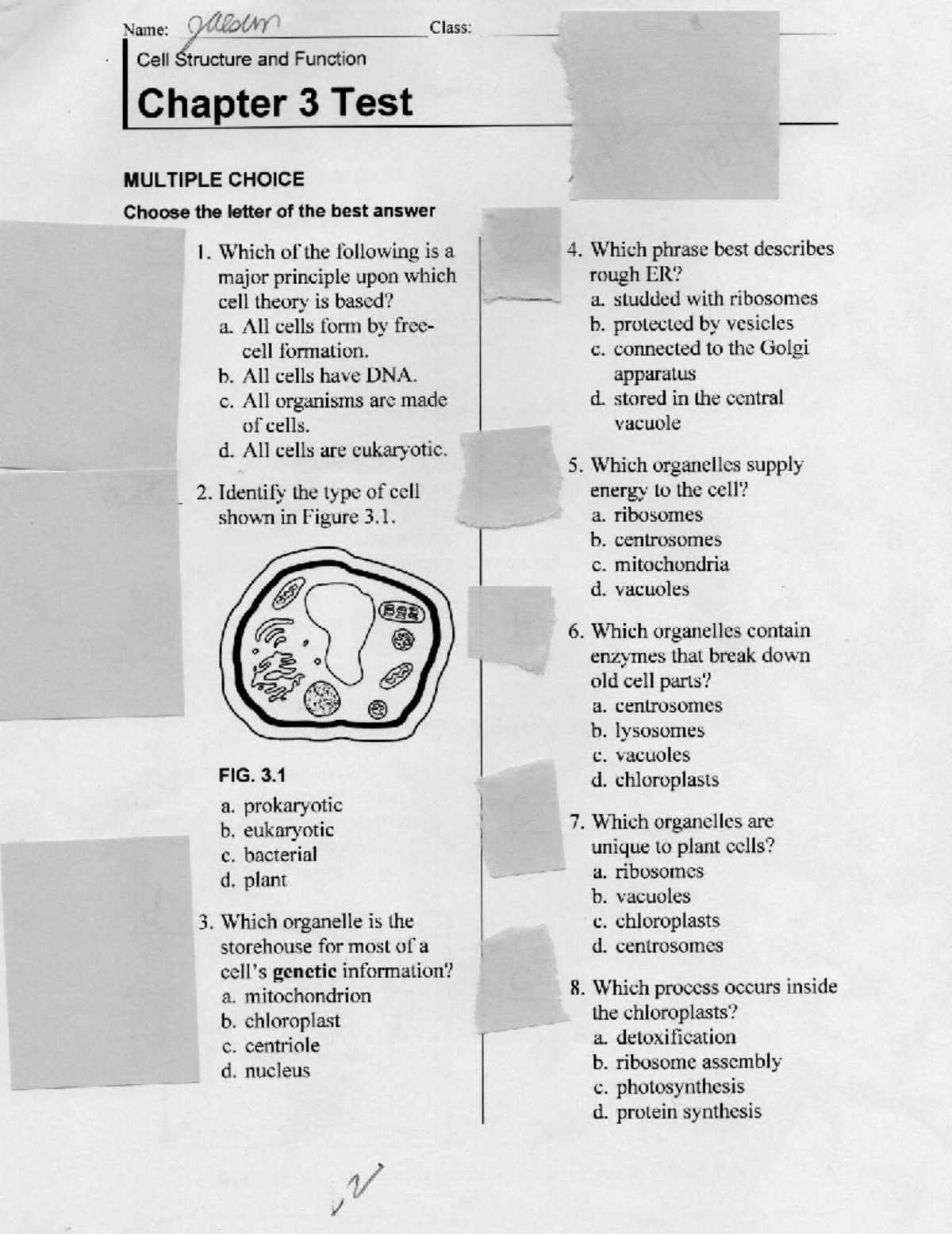 Biology 101: Cell Structure & Function Ch 3 Test Review - Studocu