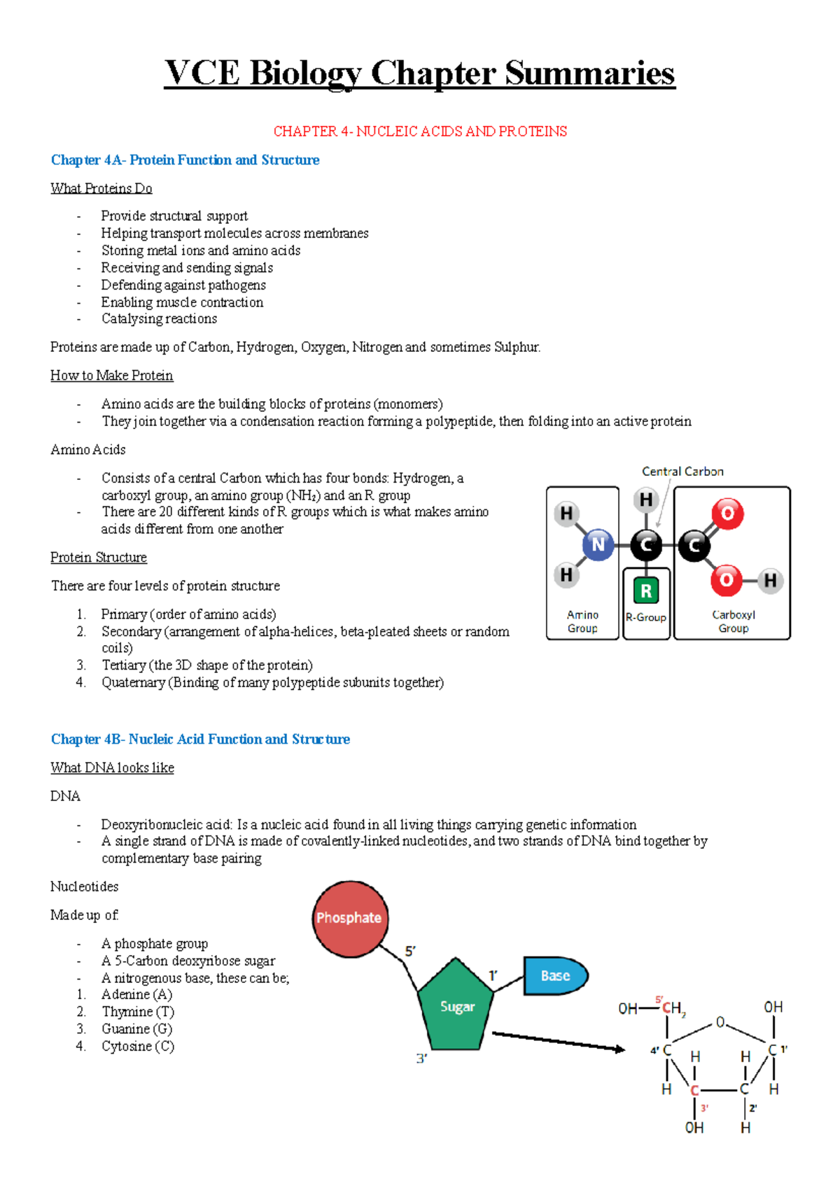 Unit 3- Chapter 4 Summary - VCE Biology Chapter Summaries CHAPTER 4 ...