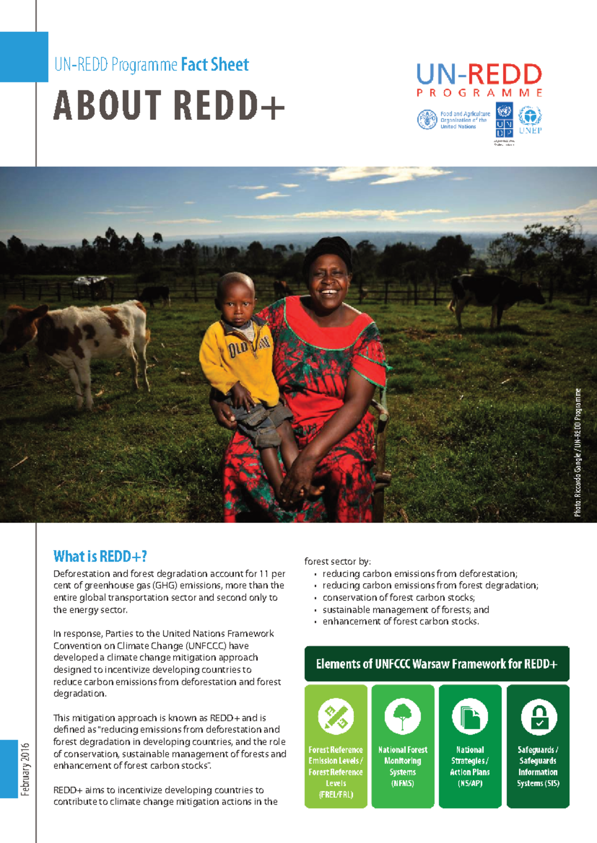 Fact Sheet 1: Understanding REDD+ and Its Impact on Climate Change ...