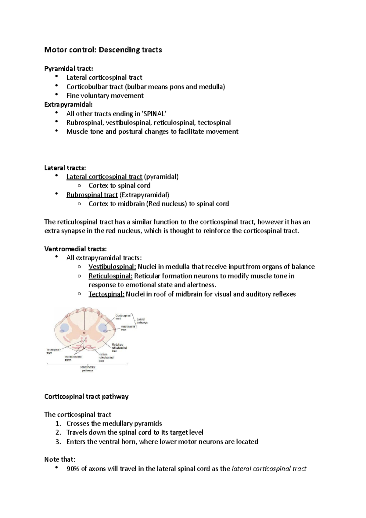 Motor control - Annotated lecture notes for final exam study - Motor ...