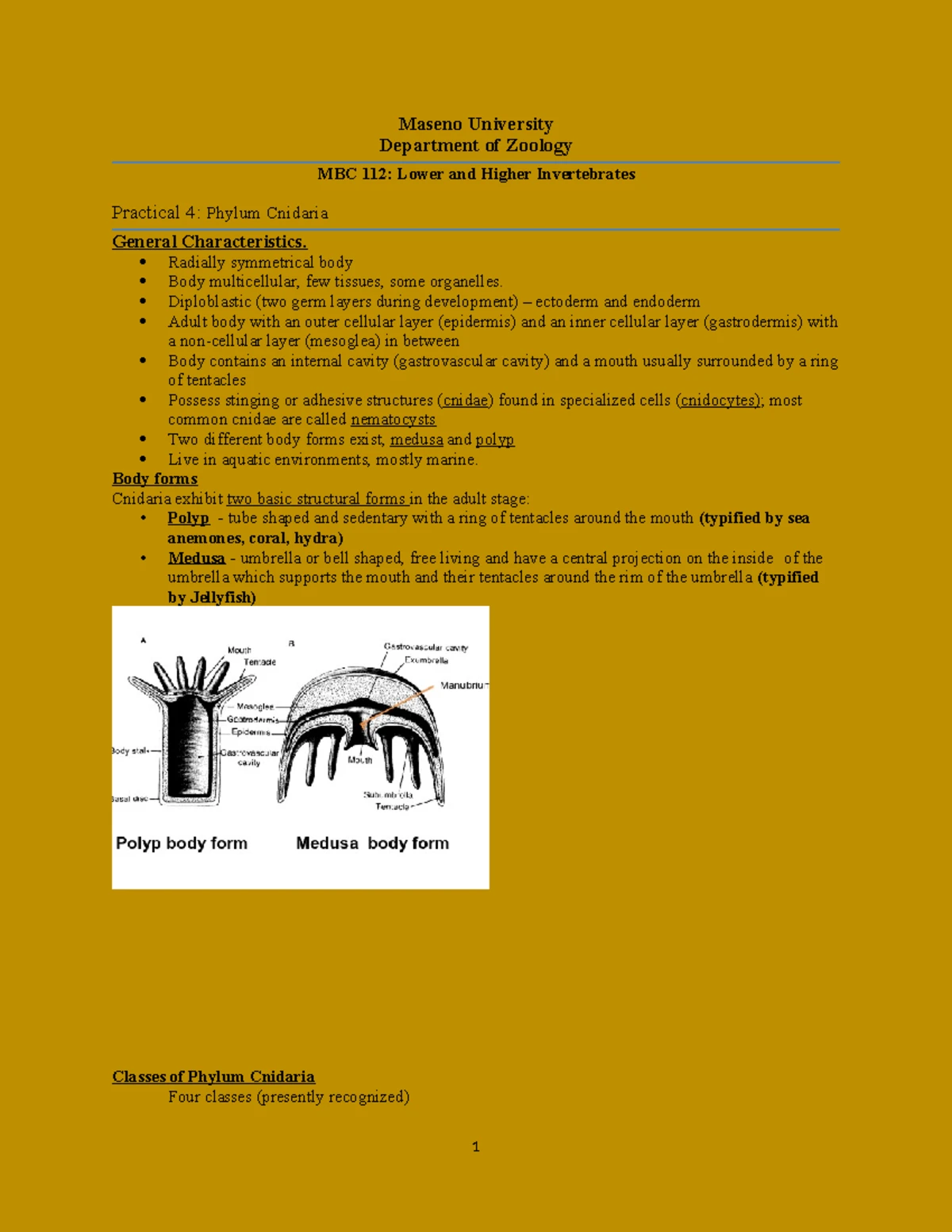 MBC 112 Practical 10: Exploring Phylum Arthropoda Part 1 Overview - Studocu