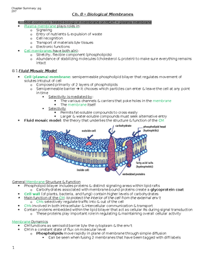 Equations for biochem - Equations Biochemistry Section Equation Name ...