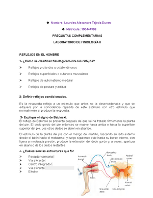 Reflejo tusigeno - Título: Análisis Detallado del Reflejo Tusígeno ...
