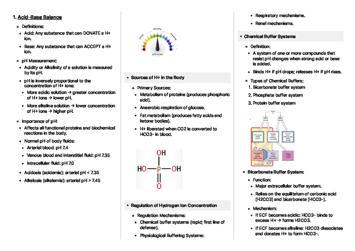 Lecture 11 Notes - Acid-Base Balance in Human Anatomy & Physiology 2 ...