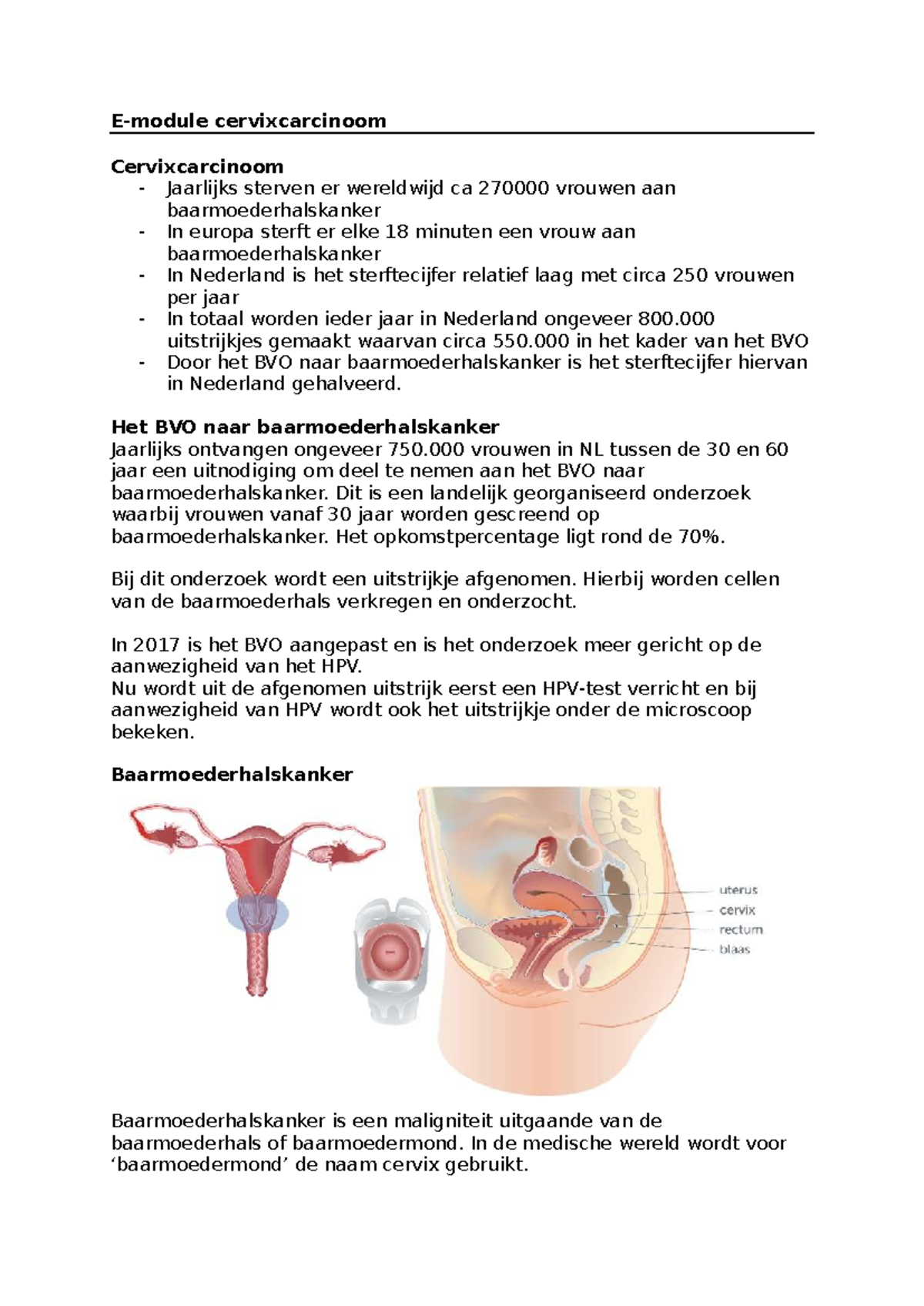 Emodule Cervixcarcinoom: Inzichten en Behandelingen - Studeersnel