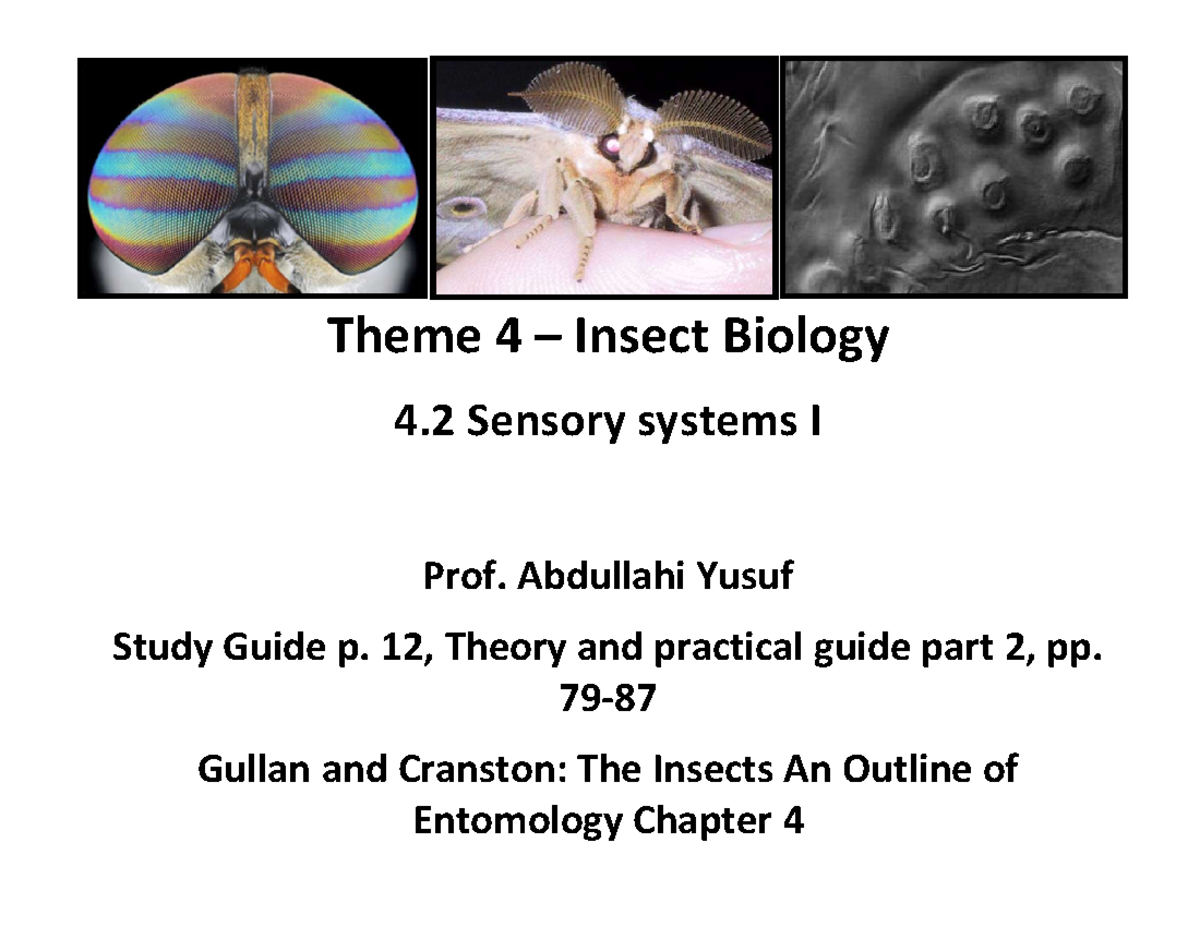 Lecture on Sensory Systems and Communication in Insects (ZEN251 ...