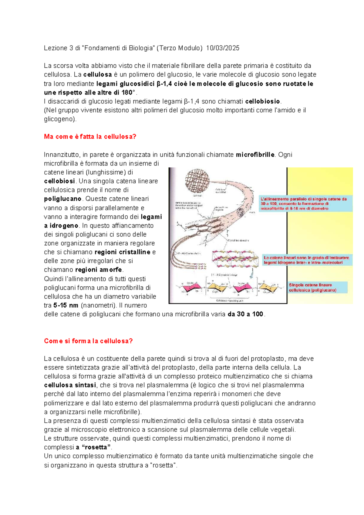 Appunti di Botanica: Lezione 3 - Struttura e Funzione della Cellula ...