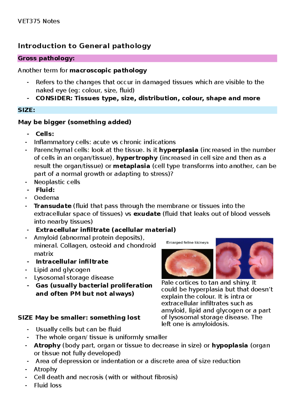 VET375 Final Exam Notes: Introduction to General Pathology Insights ...